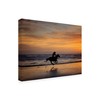 Trademark Fine Art PHBurchett 'Sunkissed Horses IV' Canvas Art, 35x47 WAG14629-C3547GG